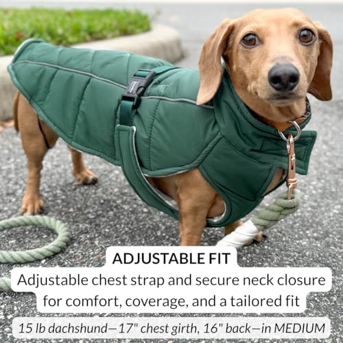 DJANGO Insulated Puffer Dog Jacket with Harness Hole – Warm, Water-Repellent Winter Dog Coat Small Dogs, Dachshunds, Puppies – Adjustable, Reflective Cold Weather Dog Apparel – Lafayette Green, Small - color: Lafayette Green, size: Small