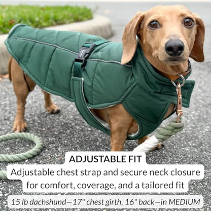 DJANGO Insulated Puffer Dog Jacket with Harness Hole – Warm, Water-Repellent Winter Dog Coat Large Dogs – Adjustable, Reflective Cold Weather Dog Apparel for Fall and Snow – Lafayette Green, X-Large - color: Lafayette Green, size: X-Large