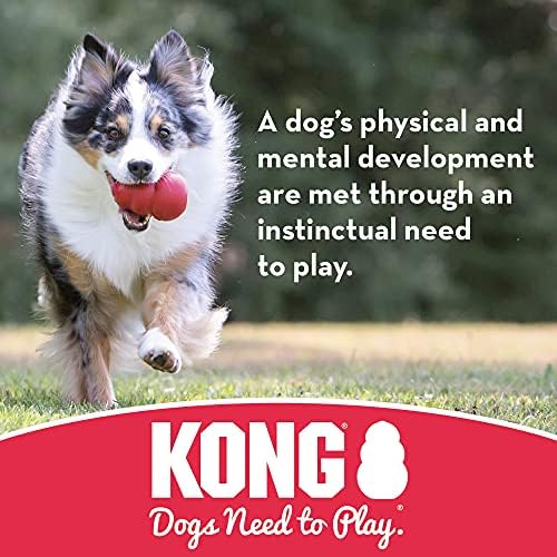 KONG Extreme Ball with Hole - Fetch Toy - Durable Dog Toy for Training, Interactive Playtime & More - Natural Extreme Rubber Ball - Black - for Large/Medium Dogs (Pack of 2) - size: Medium(2-Pack)