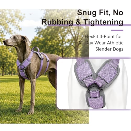 ThinkPet Flexfit 3-Strap Escape Proof Dog Harness, No Pull Front Clip 2-in-1 Vest with Control Handle, 360° Reflective Breathable Adjustable Harness for Greyhound Whippet Vizsla, Medium, Purple - color: Purple, size: Medium