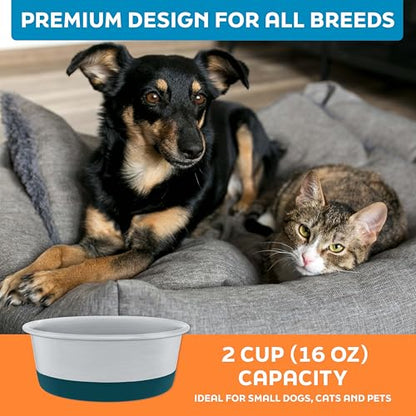 Master Pet Supply Stainless Steel Dog Bowls Set of 2 with Extra Thick Silicone Base - 2 Cup (16 oz) Emerald Sea, Non-Slip, Dishwasher Safe Metal Bowls, Pet Dog Food Bowl for Dogs, Cats, Anti Rust - color: Emerald Sea, size: 2 Cups (16 oz) 2 Pack