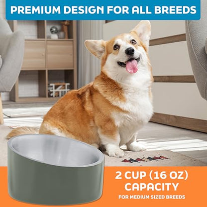 Master Pet Supply Stainless Steel Slanted Dog Cat Food Bowl - 16 oz Heavy Duty - Camo Patrol, Double Wall Insulated, Non-Slip Elevated Bowl for French Bulldogs Pugs Cats, Anti Rust Dishwasher Safe - color: Camo Patrol, size: 2 Cups (16 oz)