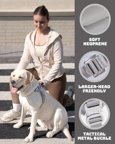 DF No Pull Step-in Martingale Dog Harness, Help Stop Pulling & Choking, Reflective & Adjustable, Front Clip Harness with Lift Handle, Tactical Silent Metal Buckle, Gray, 1", Front Chest 14.4"-18.0"