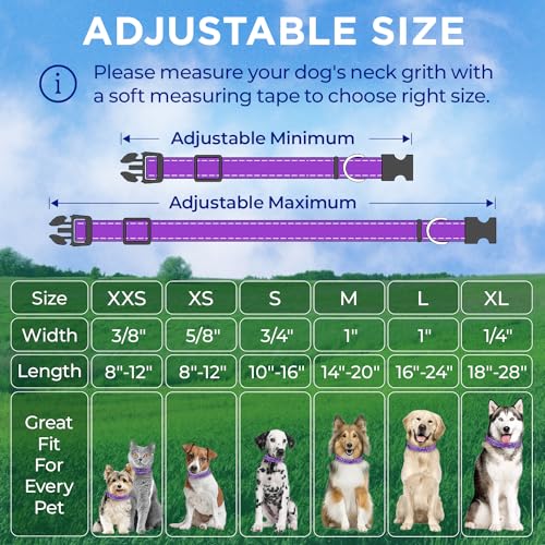 TECEUM 3 Pack Reflective Dog Collar – Purple&Red&Teal – M – Extra Soft Padding – Basic Nylon Pet Collar - color: Purple&Red&Teal, size: Medium