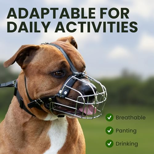 BRONZEDOG Pitbull Dog Muzzle Metal Mask Amstaff Wire Basket Pit Bull Adjustable Leather Straps for Large Dogs (Steel) - color: Leather, Steel