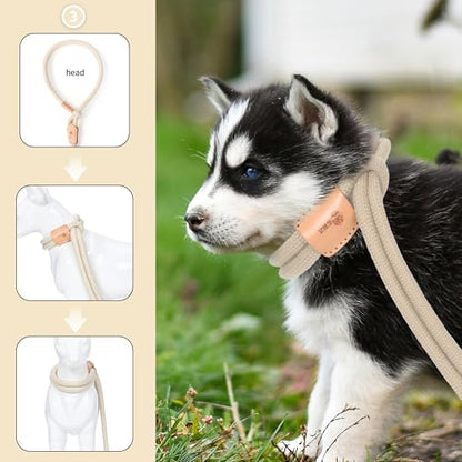 Mile High Life Harness Lead No Pull, All in one Dog Lead 2-in-1, Rope Leash and Harness Two in One, Slip Leash for Puppy Small Dogs Training, 4FT White - color: 4 feet-White