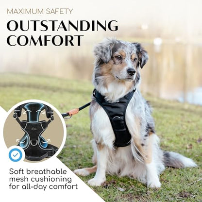 Freudentier No Pull Dog Harness with Handle – Soft Breathable Mesh Padding, Front & Back Clips, Adjustable & Reflective Front Range Harness for Small, Medium & Large Dogs (Black, XS) - color: Black, size: XS