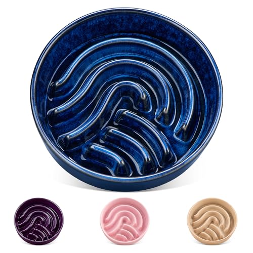 vancasso Slow Feeder Dog Bowl, 1.5 Cup Ceramic Slow Feeding Food Dish for Small and Medium Breed, Puzzle Dog Food Bowl for Fast Eater, Blue - color: Blue, size: M - 1.5 Cups