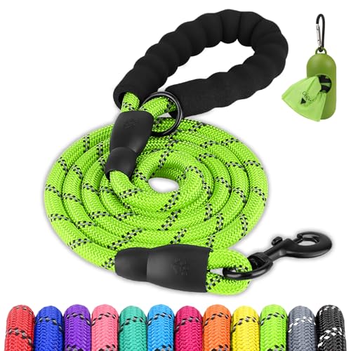 Joytale Dog Leash for Small Dogs, Heavy Duty Nylon Leashes with Comfortable Padded Handle and Highly Reflective Threads, Ideal for Walking and Training, Green, 5'×3/8'' - color: Green, size: 5FT×3/8'' (0~20 lbs)