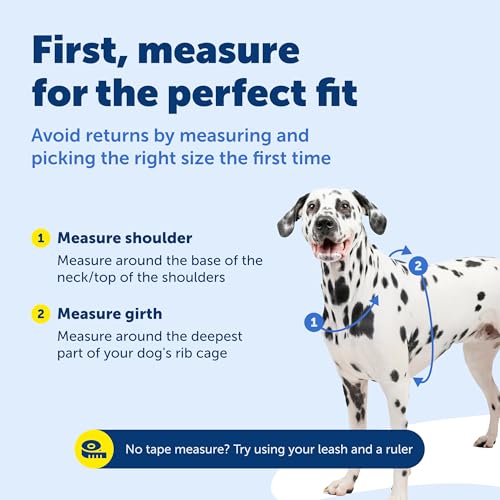 PetSafe 3 in 1 No-Pull Dog Harness - Walk, Train or Travel - Helps Prevent Pets from Pulling on Walks - Seatbelt Loop Doubles as Quick Access Handle - Reflective Accents - Small, Black - color: Black, size: Small (Pack of 1)