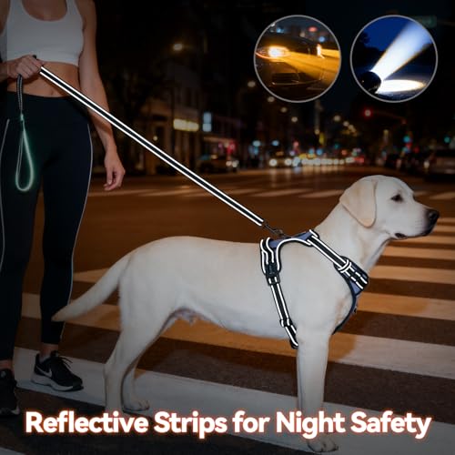 PHOEPET No Pull Dog Harness Reflective Adjustable with 2 Metal Leash Hooks and Soft Training Handle [Over The Head Design](M, Baby Blue) - color: Baby Blue, size: Medium