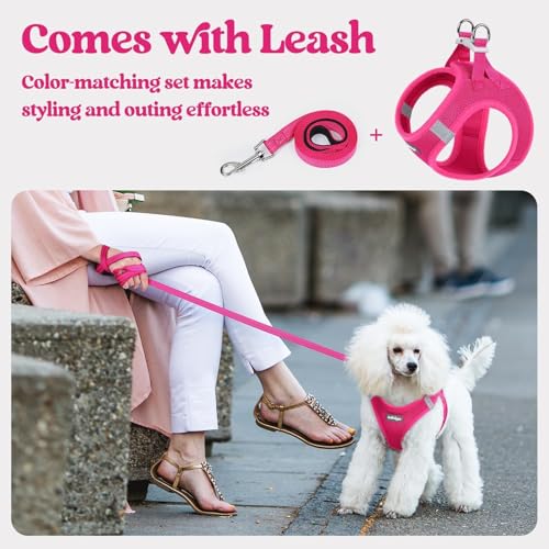 rabbitgoo Dog Harness Small Sized and Leash Set, Step in Soft Light Puppy Vest, Breathable Mesh Pet Harness, Reflective for Safe Easy Walking, Rosa Red XXXS - color: Rose Red, size: Xxxs (chest: 10.8 - 11.8")