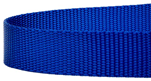 Country Brook Petz - Vibrant 17 Color Selection - Heavyduty Doublehandle Nylon Leash (6 Foot, 3/4 Inch Wide, Royal Blue) - color: Royal Blue