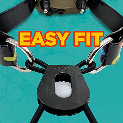 Dogtra Tom Davis Bungee Collar Comfortable Easy Fit Compatible with Tom Davis Edition 280C Dog Training E-Collar 3/4" Inch Strap Receivers - color: Bungee Strap Only - Black