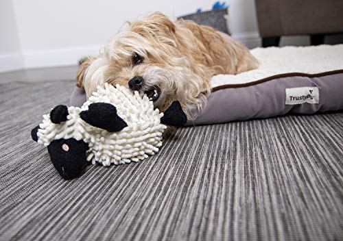 goDog Fuzzy Wuzzy Lamb Squeaky Plush Dog Toy, Chew Guard Technology - Assorted, Small - size: Small, style: Fuzzy Wuzzy Lamb