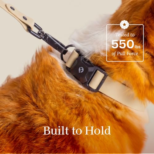 Fei & Eve VERO Dog Collar, Champagne, Large | MagEase Magnetic Buckle, Waterproof PVC, Odor Resistant, Easy Clean, Heavy Duty - color: Champagne, size: L