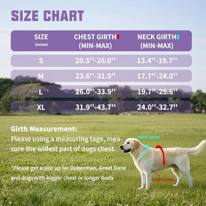 AUROTH Dog Harness and Leash Set, Soft Padded Service Dog Vest with 5.25FT Dog Leash, No Choke, Easy On Pet Vest, Adjustable Reflective No Pull Dog Harness for Large Dogs, Easy Walking and Training - color: Purple, size: Large