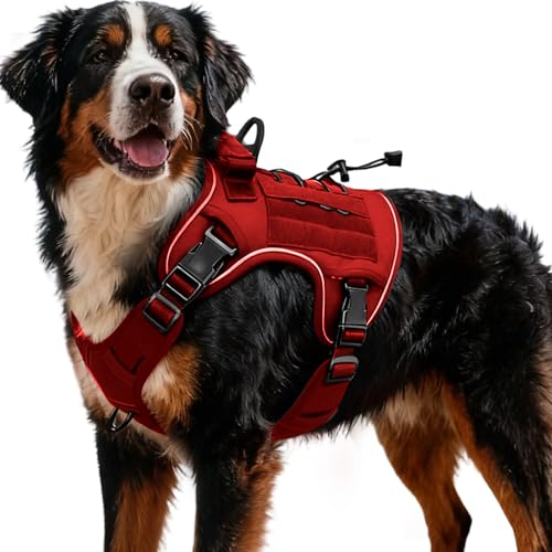 Heavy-Duty Tactical Dog Harness for Large Dogs, No Pull Adjustable Reflective Pet Vest with Molle System, K9 Military-Grade Control for Service Training, Outdoor & 10+ Breeds, Red, XX-Large - color: Red, size: XXL: Neck: 29-37'', Chest: 36-42''