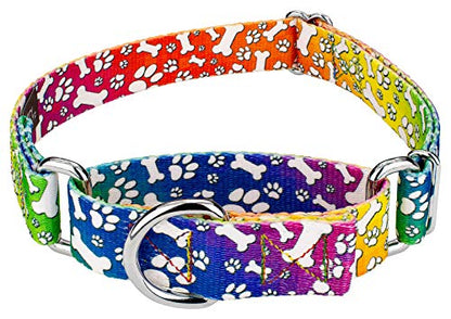 Country Brook Petz - Trippy Doggo Martingale Dog Collar - Groovy Collection Featuring Far Out Designs (1/2 Inch, 2XS) - color: Trippy Doggo, size: 2XS (Pack of 1)