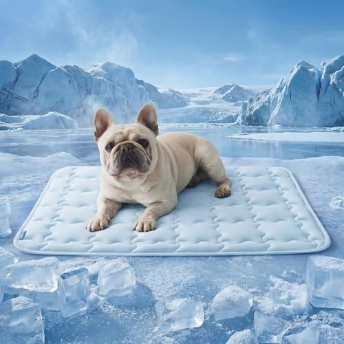 Bedsure Cooling Mat for Medium Dogs, Q-Max>0.5 Thin Breathable Cold Crate Pad for Pet, Portable Washable Kennel Bed for Summer Active Dog with Chill Cool Soothing Fabric to Rapid Cooling, 29x21, Blue - color: Baby Blue, size: 29" x 21" (Medium)