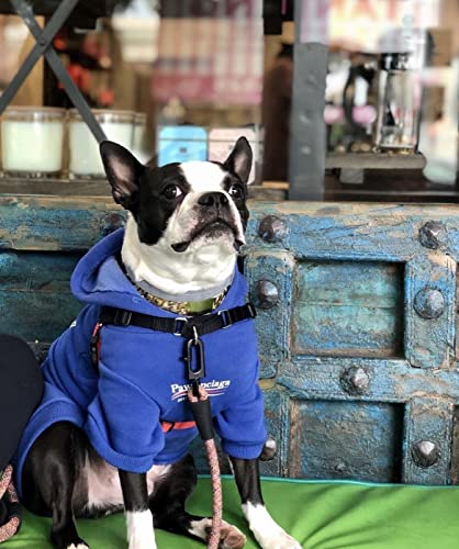 ChoChoCho Stylish Streetwear Blue Dog Sweatshirt Tracksuits, Cats Hoodies, Dog Outfit for Cat Puppy Small Medium (5XL) - color: Pawlenciaga, size: 5XL (Chest: 32.3''-36.6'' / Suggest: 89-139 lbs)