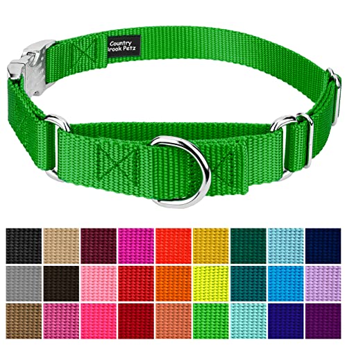 Country Brook Petz - Martingale Dog Collar - Heavy Duty Nylon Adjustable Martingale Dog Collar with Premium Buckle for Small Medium Large Breeds (5/8 Inch, Extra Small, Hot Lime Green) - color: Hot Lime Green, size: Extra Small (Pack of 1)