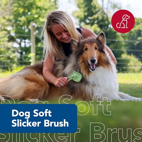 Coastal Pet Safari Dog Soft Slicker Brush - Dog Grooming Brush for Shedding - for Dogs with Short, Medium and Long Hair - Large - 6.75" x 4.375" - size: Large