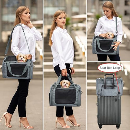 EliteField Deluxe Soft-Sided Pet Carrier (3 Year Warranty, Airline Approved), Travel Bag for Dogs, Cats & Small Pets, with Expandable Mat - color: Gray, size: Medium: 18"L x 11"W x 11"H