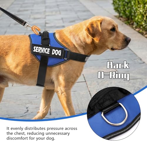 MUMUPET Service Dog Vest Harness, No Pull Reflective Adjustable with Handle, Soft Breathable Padding for Small Dogs, 2 Removable Velcro Patches (Blue, XS) - color: Blue, size: X-Small