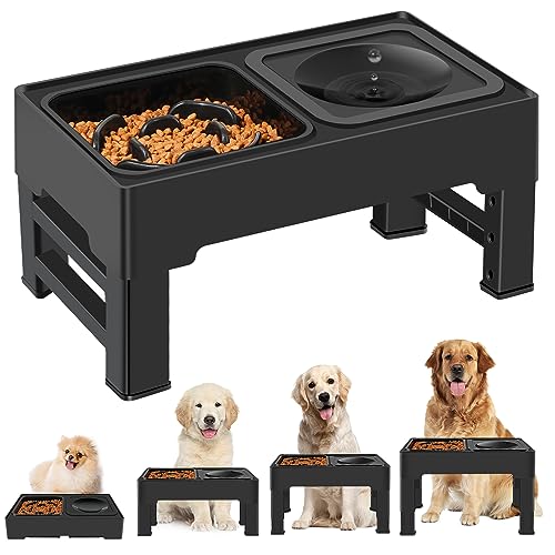 2-in-1 Elevated Slow Feeder Dog Bowls, 4 Height Adjustable Raised Dog Bowls Stand with No Spill Water Bowl, Non-Skid Pet Food Feeding Set for Small, Medium, Large Dogs Cats - size: Slow Feeder