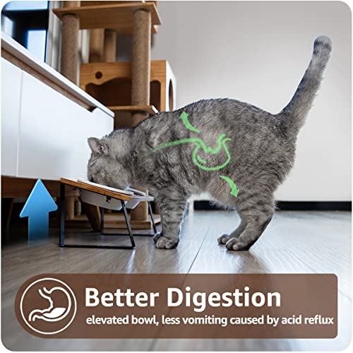 AYADA Elevated Cat Bowls, Height Adjustable Raised with Stand Lifted Ergonomic Anti Vomiting Non Slip Slanted Tilted Double Bowls Food Water Ceramic - color: Ceramic