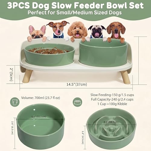 Elevated Slow Feeder Dog Bowls - Ceramic Food and Water Bowl Set with Stand - Raised Pet Dishes for Small and Medium Sized Dogs - color: Green