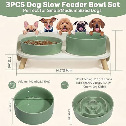 Elevated Slow Feeder Dog Bowls - Ceramic Food and Water Bowl Set with Stand - Raised Pet Dishes for Small and Medium Sized Dogs - color: Green