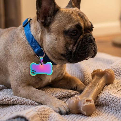 Custom Personalized Stainless Steel Pet ID Tag, Engraved Name and Phone Number Collar Charm for Dogs and Cats, Durable Identification Plate