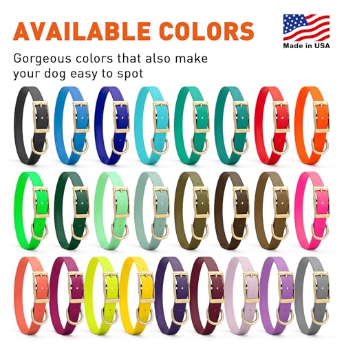 Viper Biothane Heavy Duty Waterproof Dog Collar Strong Coated Nylon Webbing w/Solid Brass Hardware Odor-Proof for Easy Care to Clean High Performance Fits Small Medium or Large Dogs, Lemon Yellow