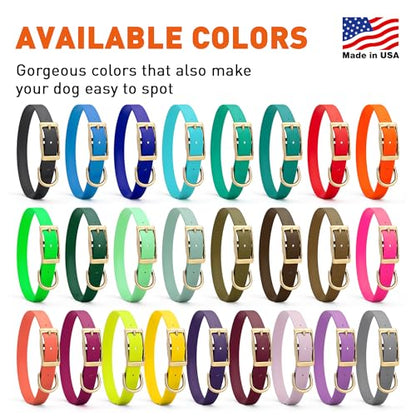 Viper Biothane Heavy Duty Waterproof Dog Collar Strong Coated Nylon Webbing w/Solid Brass Hardware Odor-Proof for Easy Care to Clean High Performance Fits Small Medium or Large Dogs, Lemon Yellow
