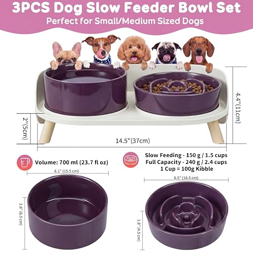 Elevated Slow Feeder Dog Bowls - Ceramic Food and Water Bowl Set with Stand - Raised Pet Dishes for Small and Medium Sized Dogs - color: Purple