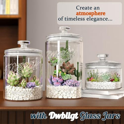 [NEW] Cookie Jars with Lids Airtight, 1.5 Gallon Large Glass Jar with Lid & Scale Mark, Heavy Duty Glass Canisters for Kitchen Counter, Pantry, Wide Mouth Mason Jar for Sugar, Dog Treat-2 PCS
