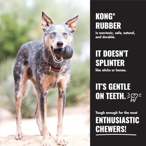 KONG Extreme Donut Dog Toy – Toughest Durable Natural Rubber Chew Toy for Power Chewers – Safe on Teeth & Gums, Fun Bounce & Roll for Indoor and Outdoor Play (Small/Medium) - size: (Small/Medium)