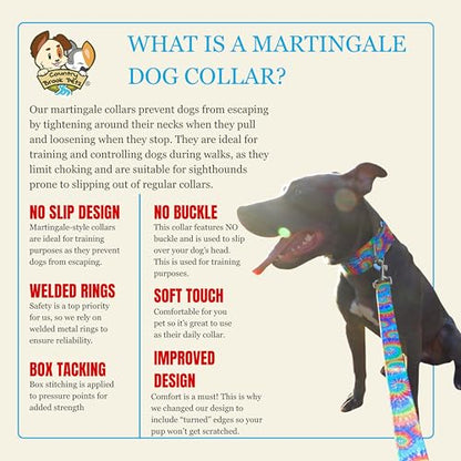 Country Brook Petz - HossFit Jr Wide Martingale Dog Collar - Groovy Collection Featuring Far Out Designs (Classic Tie Dye, Medium) - color: Classic Tie Dye, size: Medium (Pack of 1)