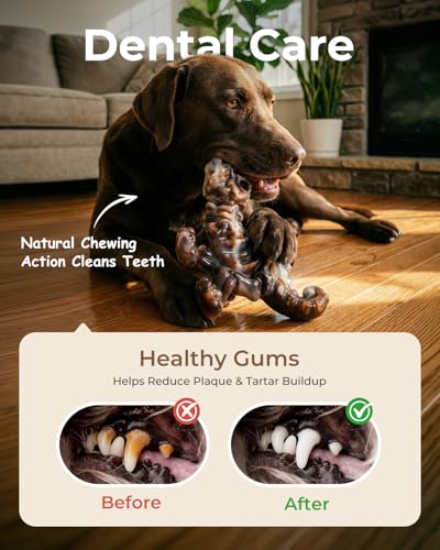 DinoBone 2-Pack Tough Dog Chew Toys for Aggressive Chewers, Rock-Hard Nylon Dinosaur Bones for Large Dogs 20–90 lbs, Almost Indestructible Dog Toys, Helps Redirect Destructive Chewing, Bacon Flavor