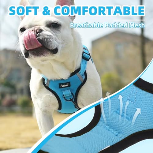 PUPTECK Dog Harness Small Sized Dog, Step in Adjustable Reflective Dog Vest Harness Escape Proof, No Pull Soft Padded Harness Easy Control, Blue, S - color: Blue, size: S (CHEST: 13"-18")