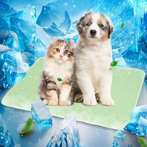 Mora Pets Dog Cooling Mat Instant Self Cooling Pad for Dogs & Cats Breathable Washable Summer Pet Cool Mat Indoor Outdoor, Puppy Cold Blanket for Floor Crate Car Travel Use Small 28'' x 22'' Green - color: Light Green, size: 28'' x 22'' (Small)