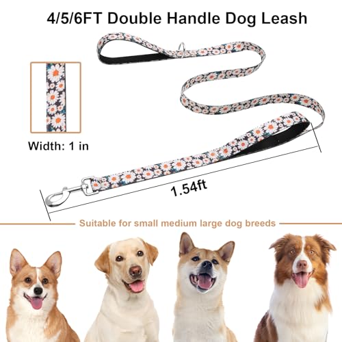 5ft Dog Leash with Two Padded Handles, Heavy Duty Strong Nylon Pet Leash with Soft Neoprene Handle for Small Medium Large Dogs, Daisy - color: Daisy, size: 1 in x 5 ft