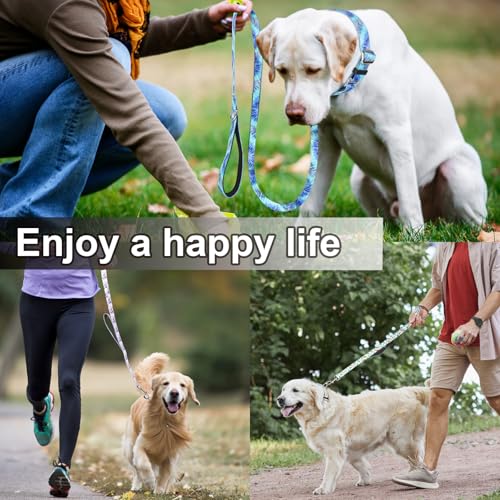 6ft Dog Leash with Two Padded Handles, Heavy Duty Strong Nylon Pet Leash with Soft Neoprene Handle for Small Medium Large Dogs, Blue Space - color: Blue Space, size: 1 in x 6 ft