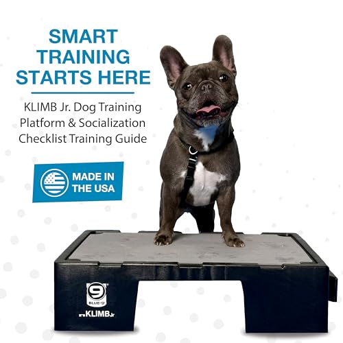Blue-9 KLIMB Jr. Professionally Designed Dog Training Platform and DIY Guide for Behavior Basics, Made in The USA, Black - color: Black