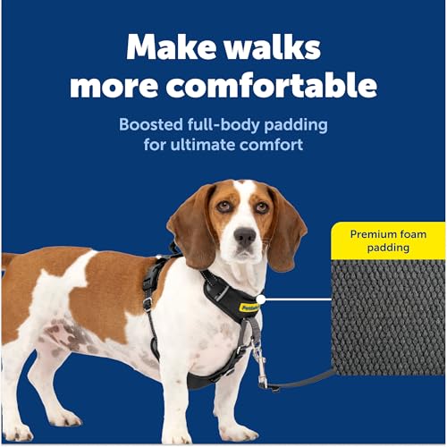 PetSafe Easy Walk Comfort No-Pull Dog Harness Full-Body Padding - Better Walks on the First Use - 5 Points of Adjustment Small, Black - color: Black, size: Small