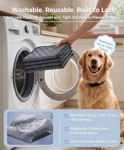 Doglike [Upgraded Silver-Ion Odor] Washable Pee Pads for Dogs – Ultra Absorbent, Leak-Proof, Non-Slip & 5-Hour Quick-Drying Reusable Puppy Training Pads for Home, Crate & Sofa, 24" x 24" (2 Pack) - size: 24" x 24"【Industry #1 Ag+ Fabric Application】