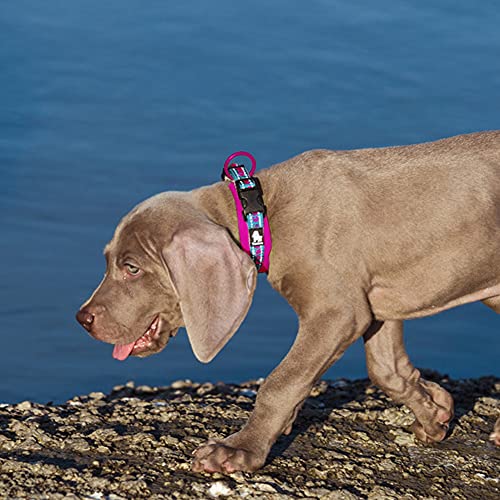 Reflective Dog Collar Soft Neoprene Padded Dog Collar Nylon Pet Collar Adjustable Dog Collar for Medium Large Dogs Puppy Collar Blue Pink XXXL - size: XXXL 23.6-25.6IN
