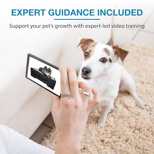 Blue-9 KLIMB Jr. Professionally Designed Dog Training Platform and DIY Guide for Behavior Basics, Made in The USA, Blue - color: Blue